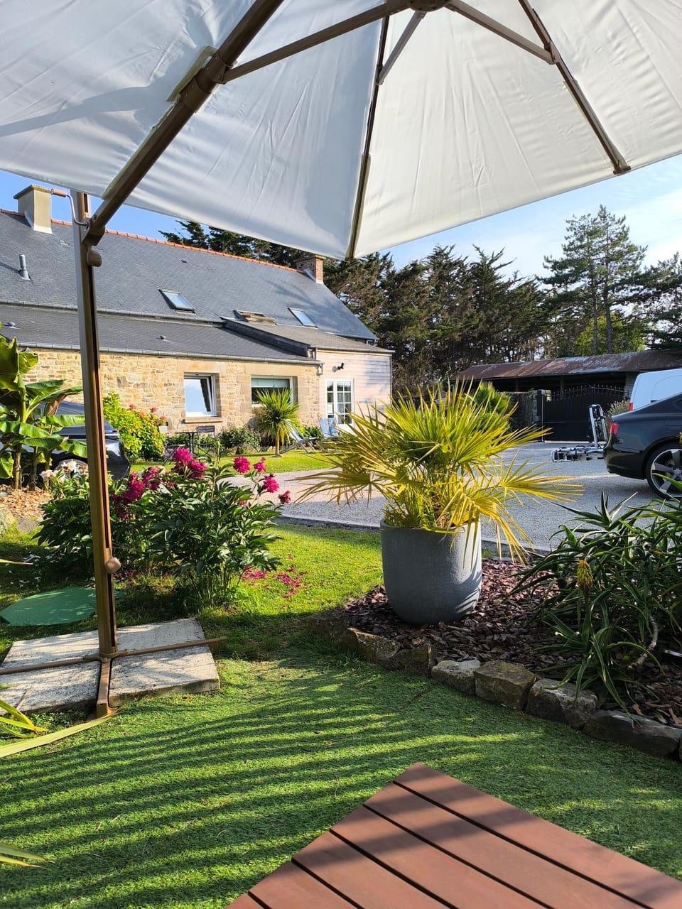 Property building, Garden, Garden view