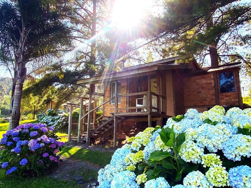 Property building, Natural landscape, Garden, Garden view, Parking