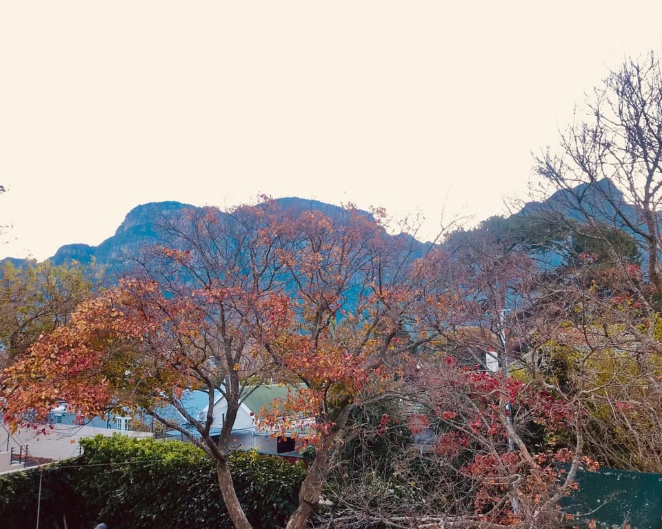 Balcony/Terrace, Mountain view