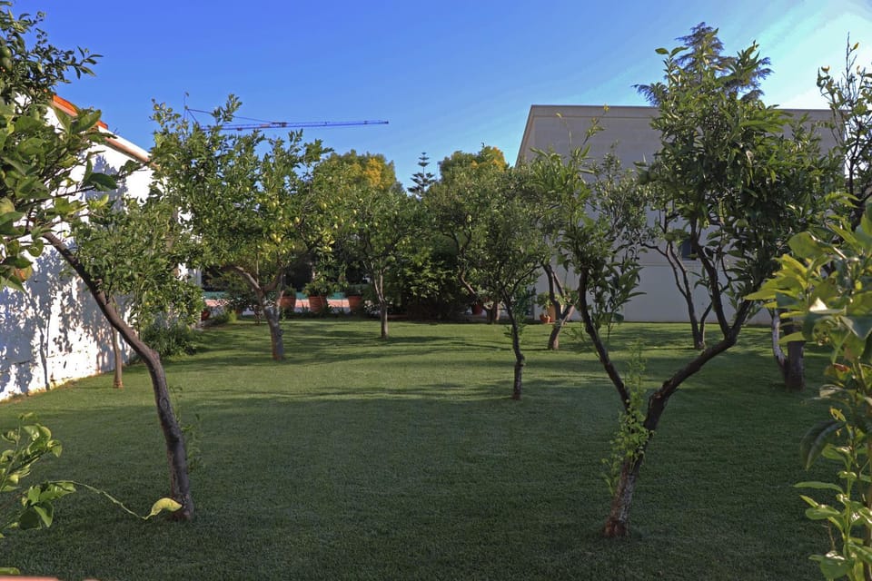 Property building, Garden