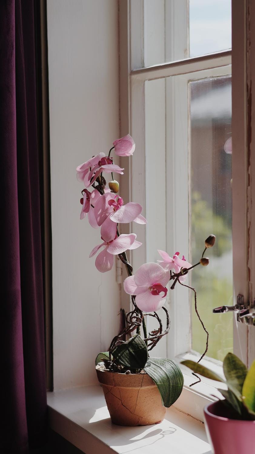 Decorative detail