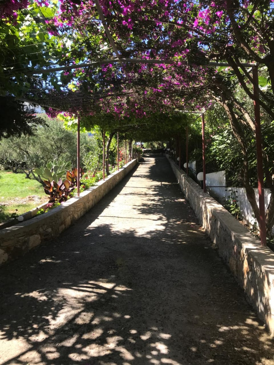Knossos Apartment hotel in Panormos in Rethymno
