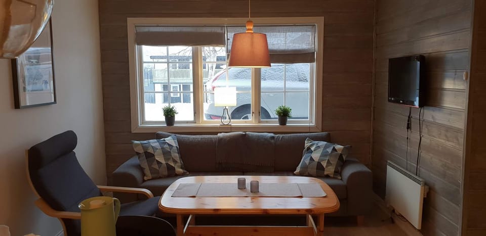 Oppdal Alpintun, Stølen øvre - ski in ski out Apartment in Trondelag