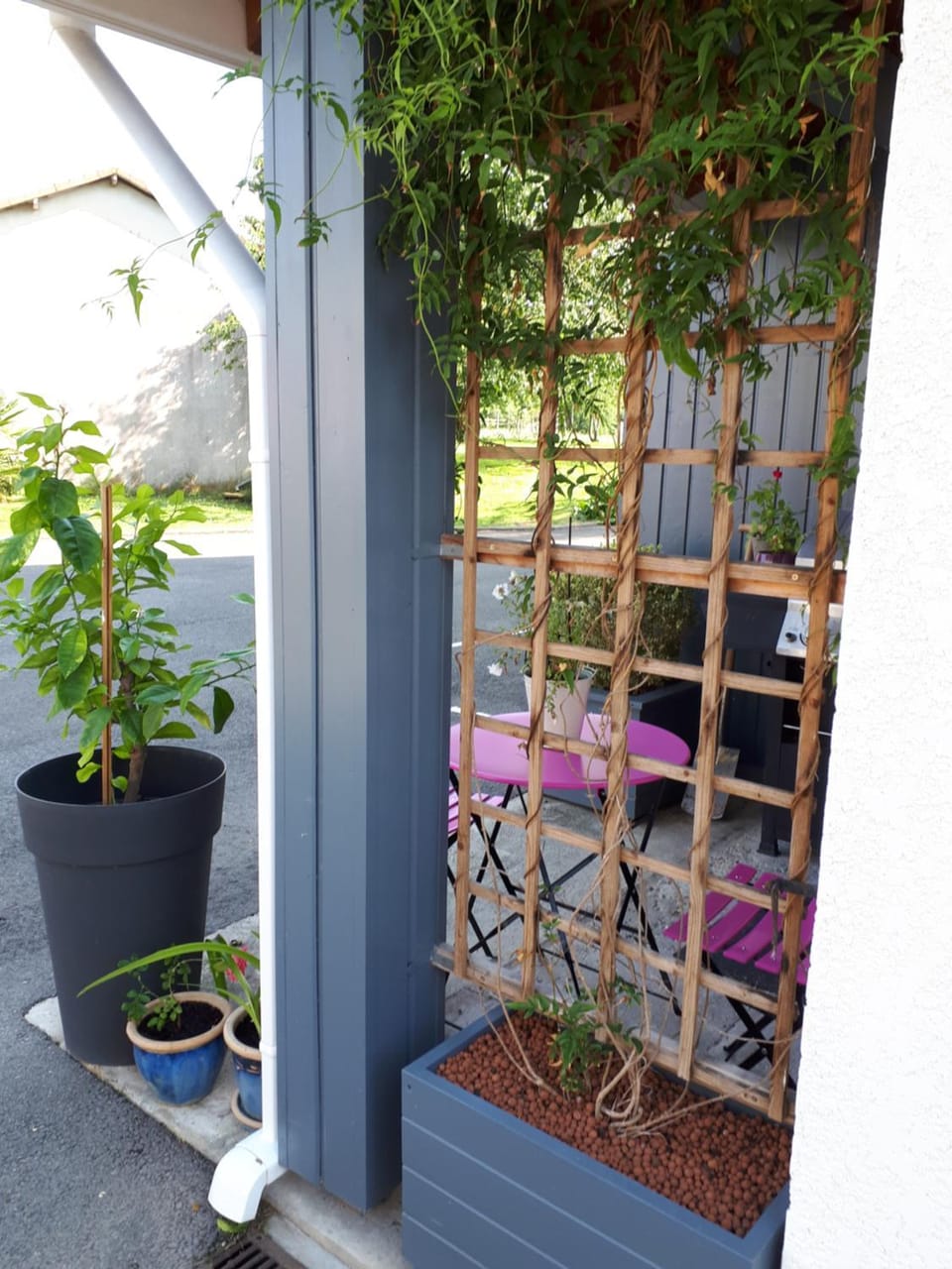 Balcony/Terrace