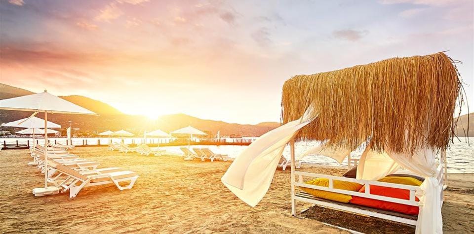 Natural landscape, Beach, Sea view, Sunset, sunbed