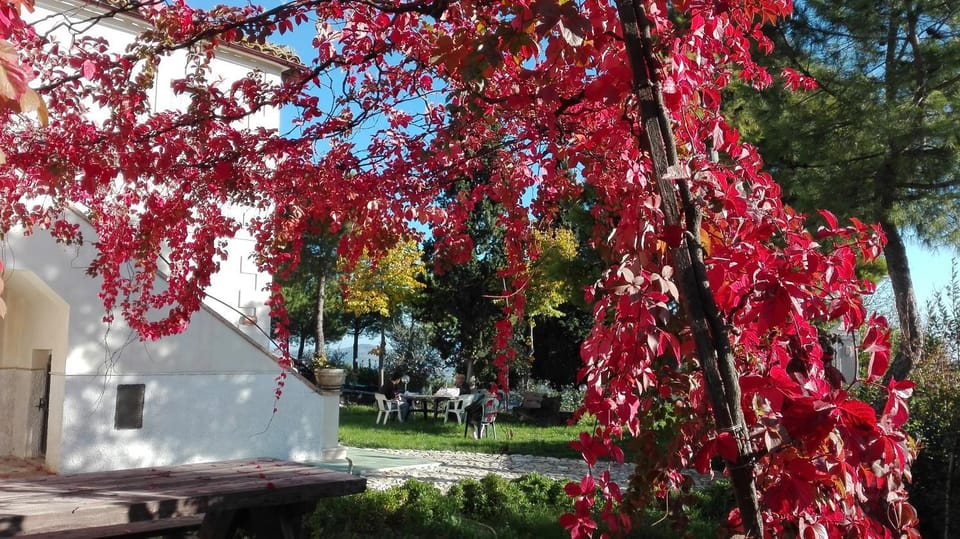 Property building, Autumn, Garden view