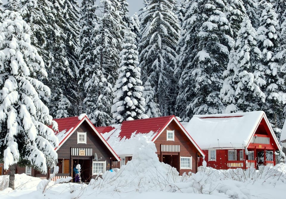Alpine ski chalet Borovets with sauna Villa in North Macedonia