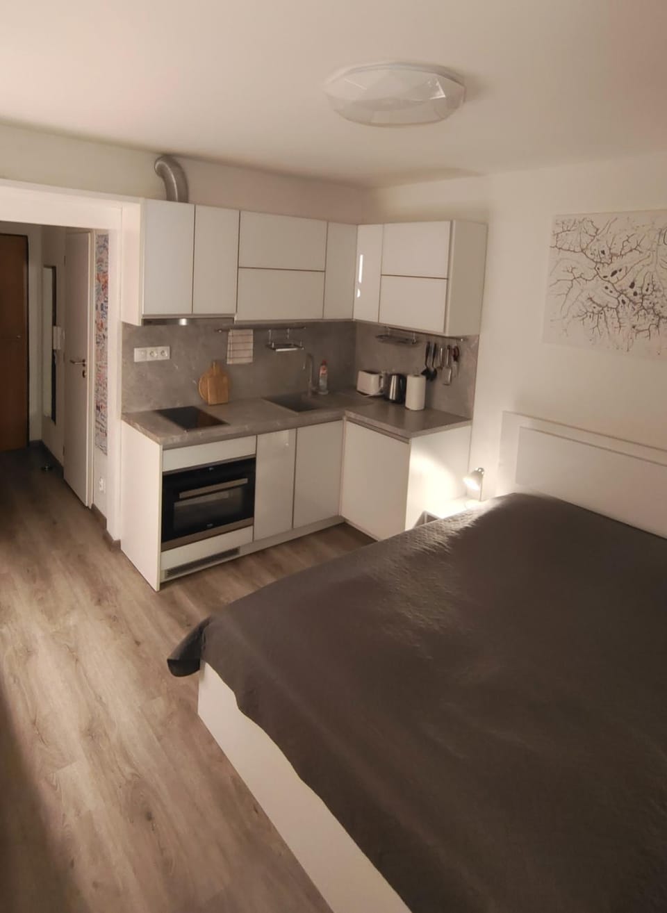 Kitchen or kitchenette, Bedroom