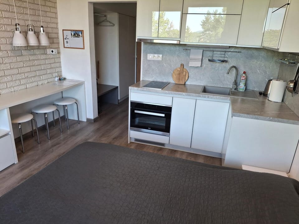 Kitchen or kitchenette, oven, stove