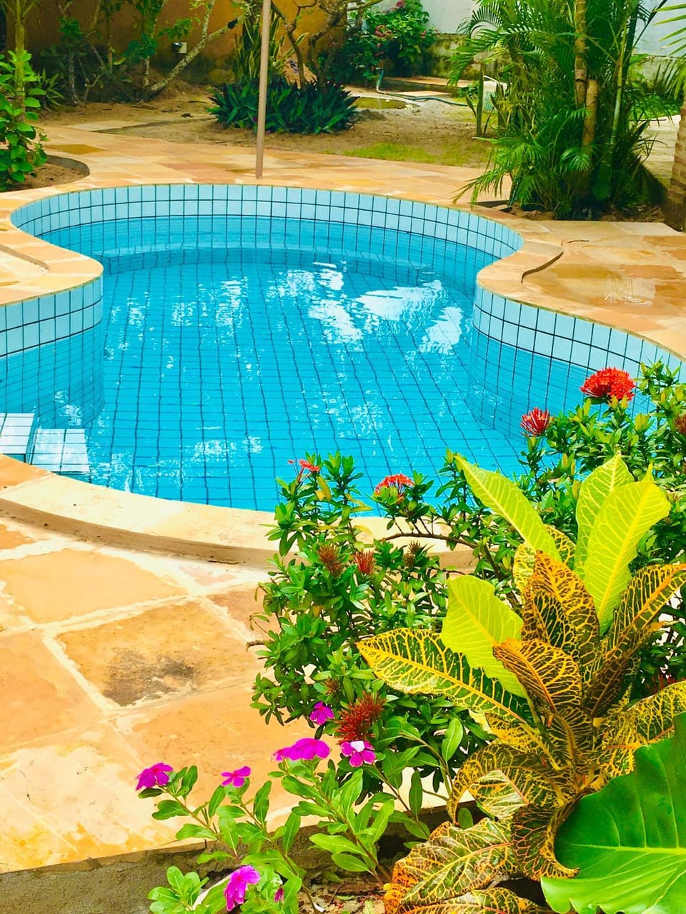 Pool view, Swimming pool