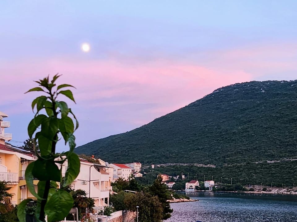 Apartments Lily Apartment in Neum