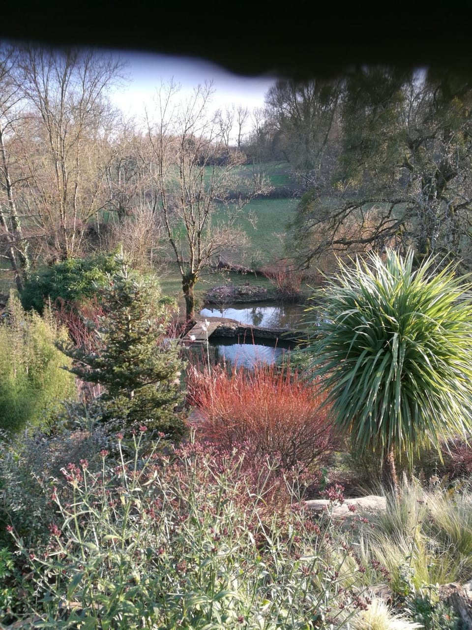 le coing House in Pays de la Loire