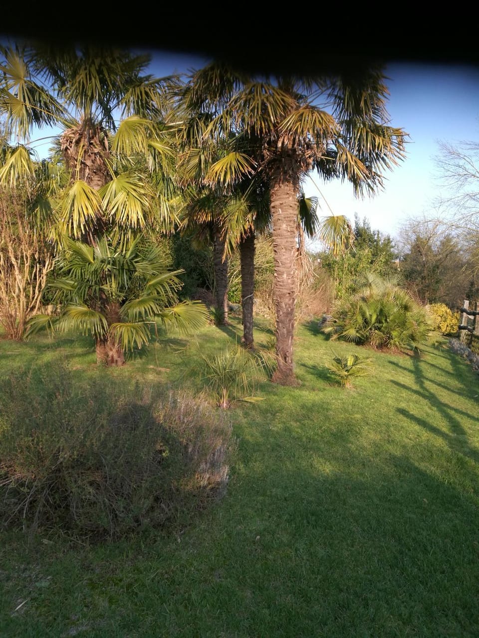 le coing House in Pays de la Loire