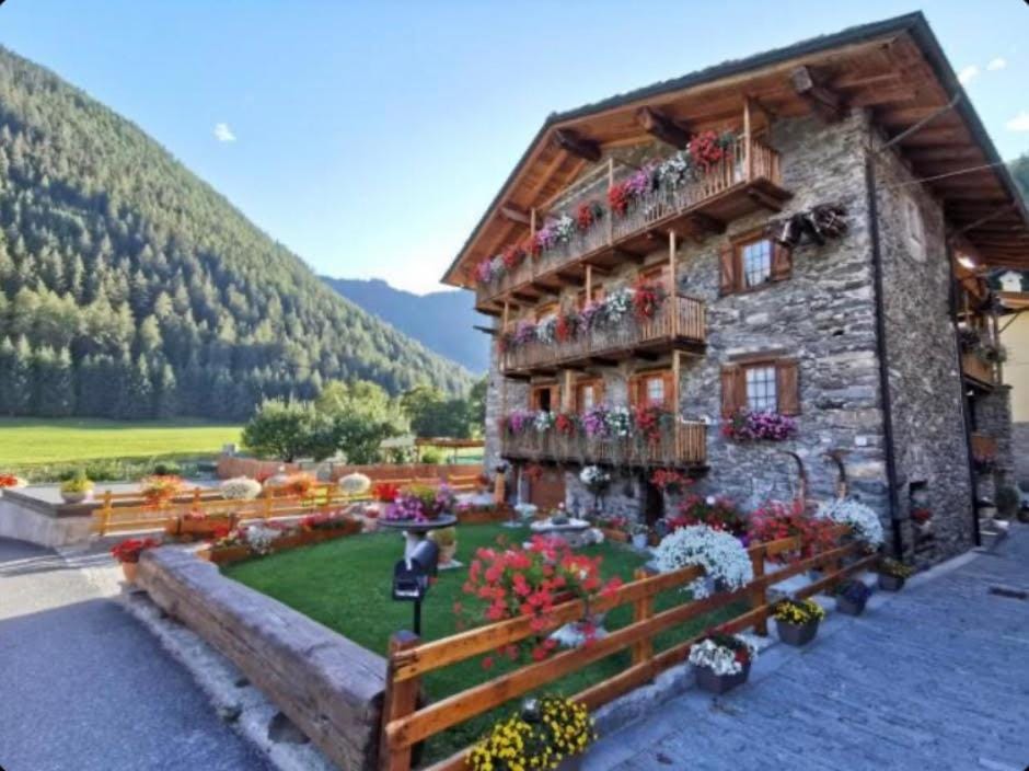 Property building, Summer