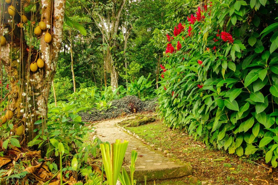 Natural landscape, Garden