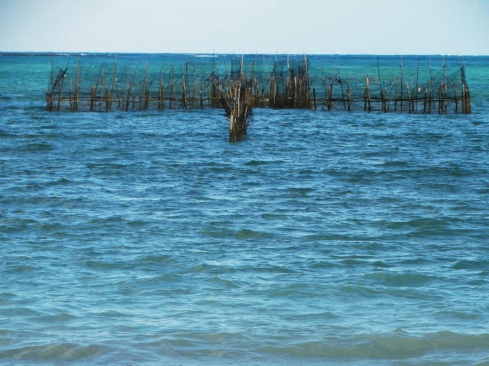 Off site, Day, Natural landscape, Beach