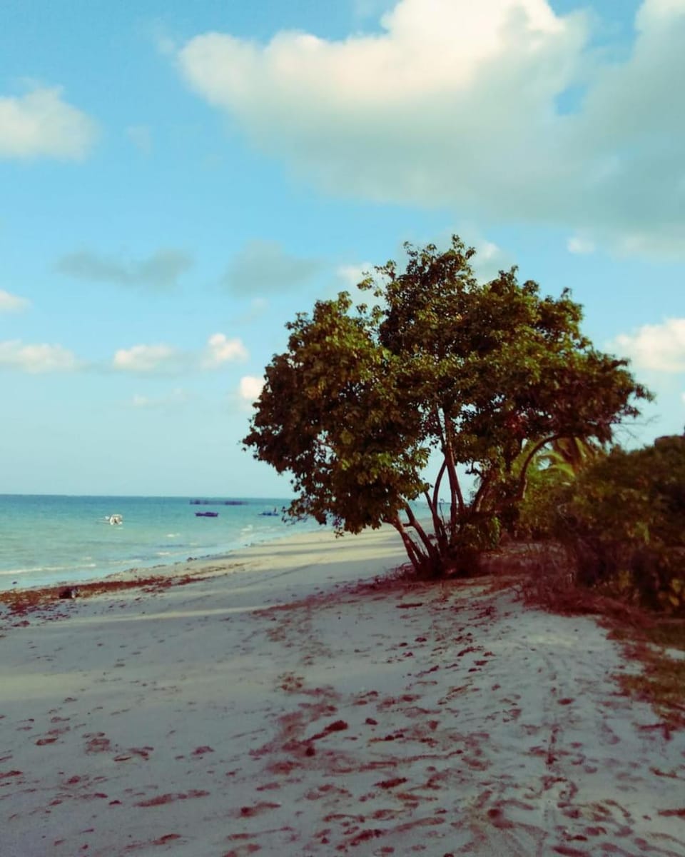 Nearby landmark, Day, Natural landscape, Beach