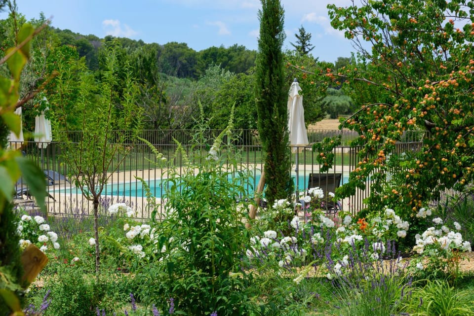 Garden, Pool view, Swimming pool