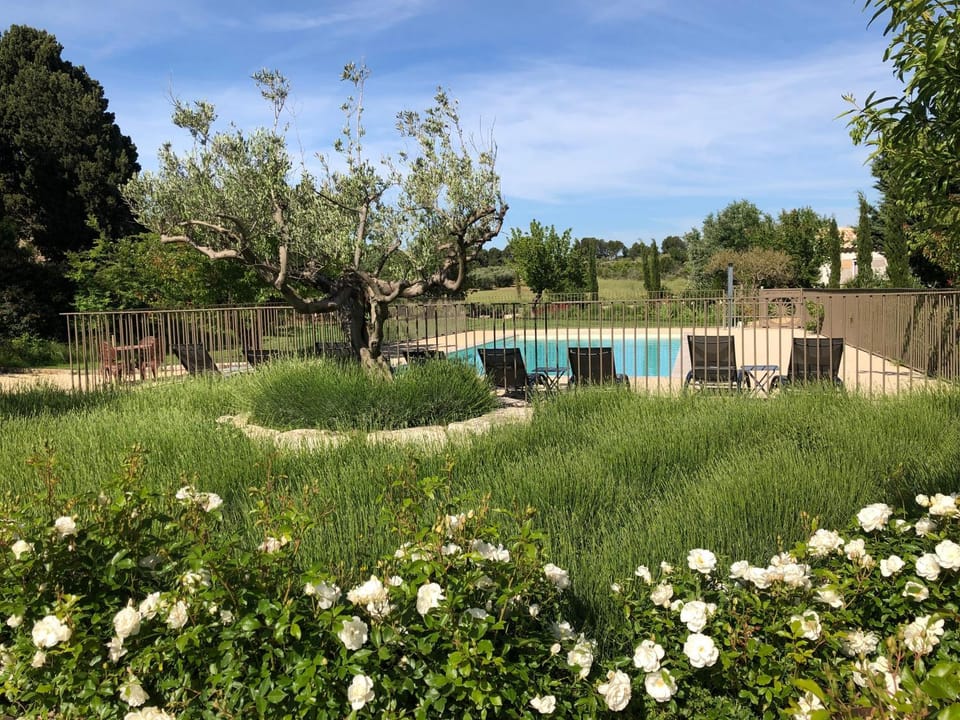 Garden, Pool view