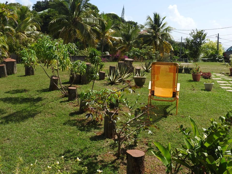 Garden, Garden view, Sea view
