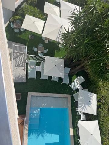 Garden, Swimming pool, Swimming pool