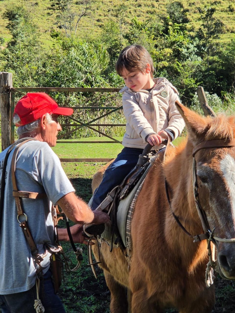 Horse-riding, Horse-riding, children