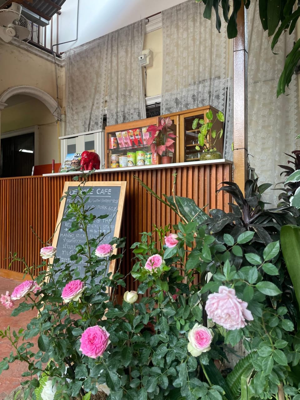 DE ROSE Hotel Chiang Mai Hotel in Thailand