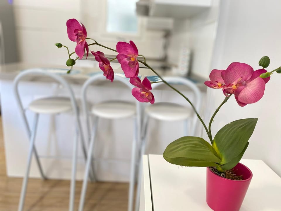 Sol Cavet con jardin Portaventura Apartment in Cambrils