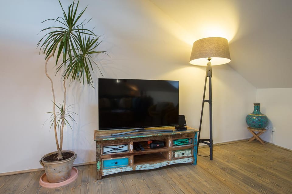 TV and multimedia, Living room