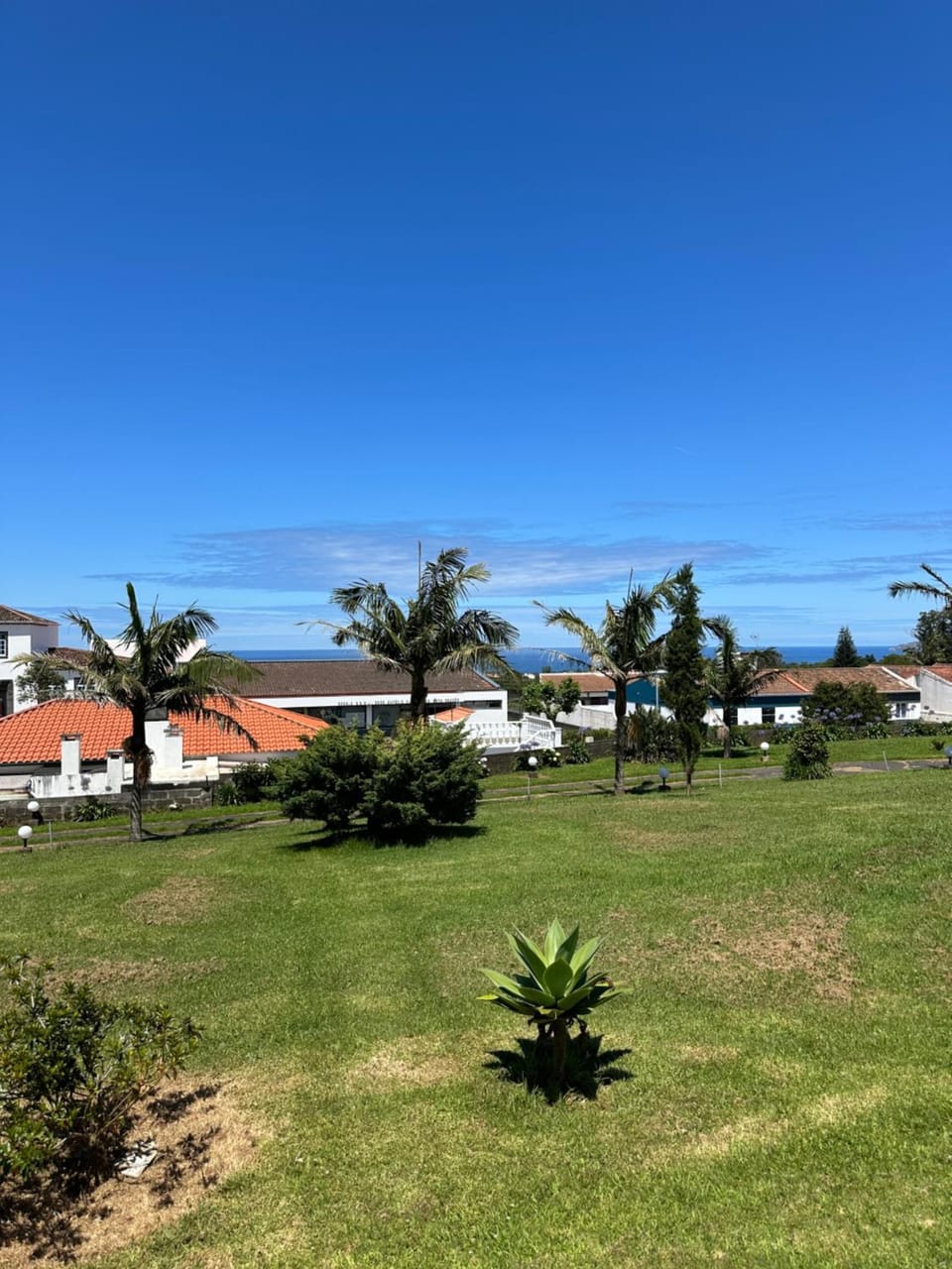 Natural landscape, Garden view, Sea view