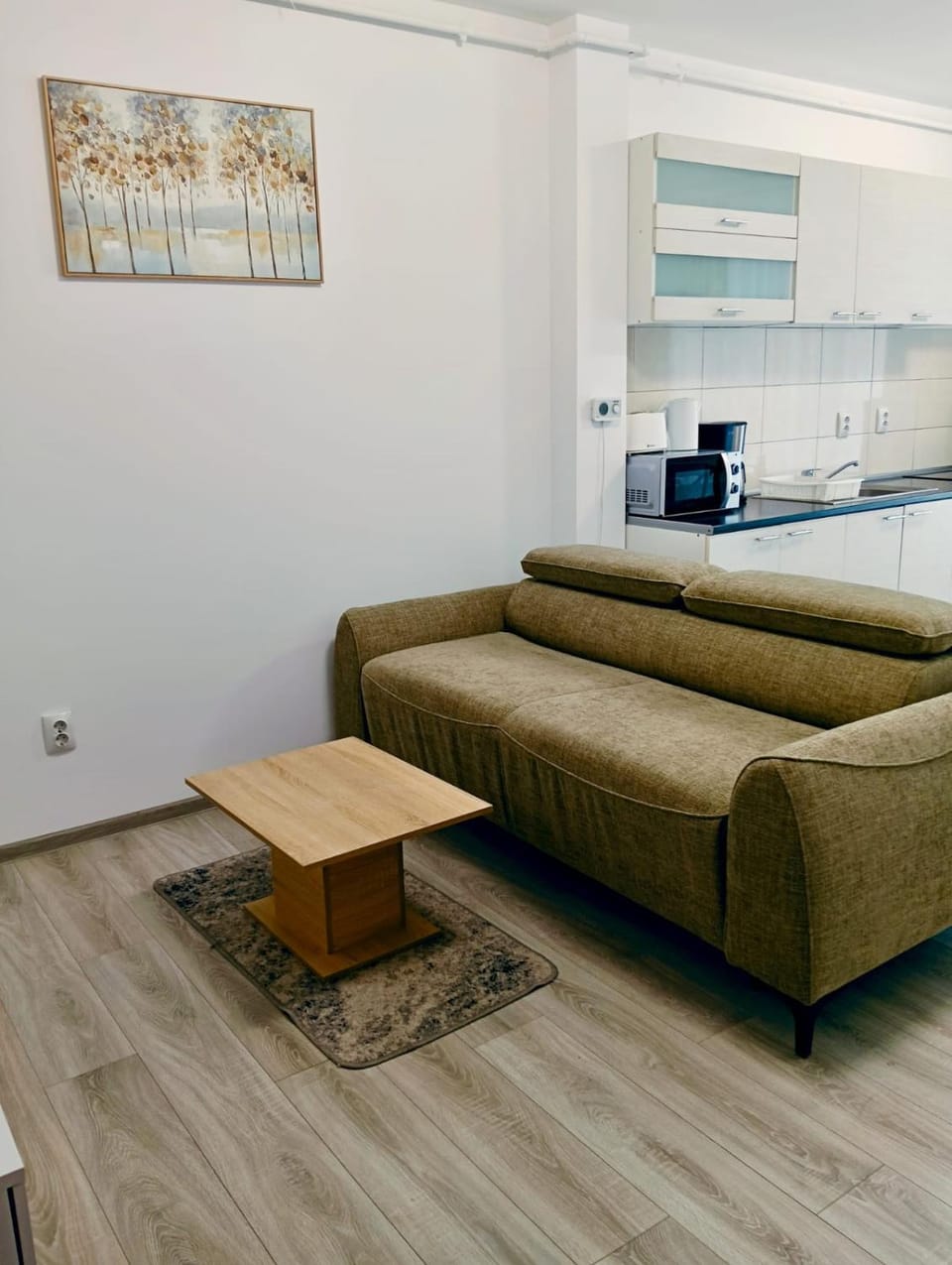 FLH - Apartament Central Silva Apartment in Sibiu