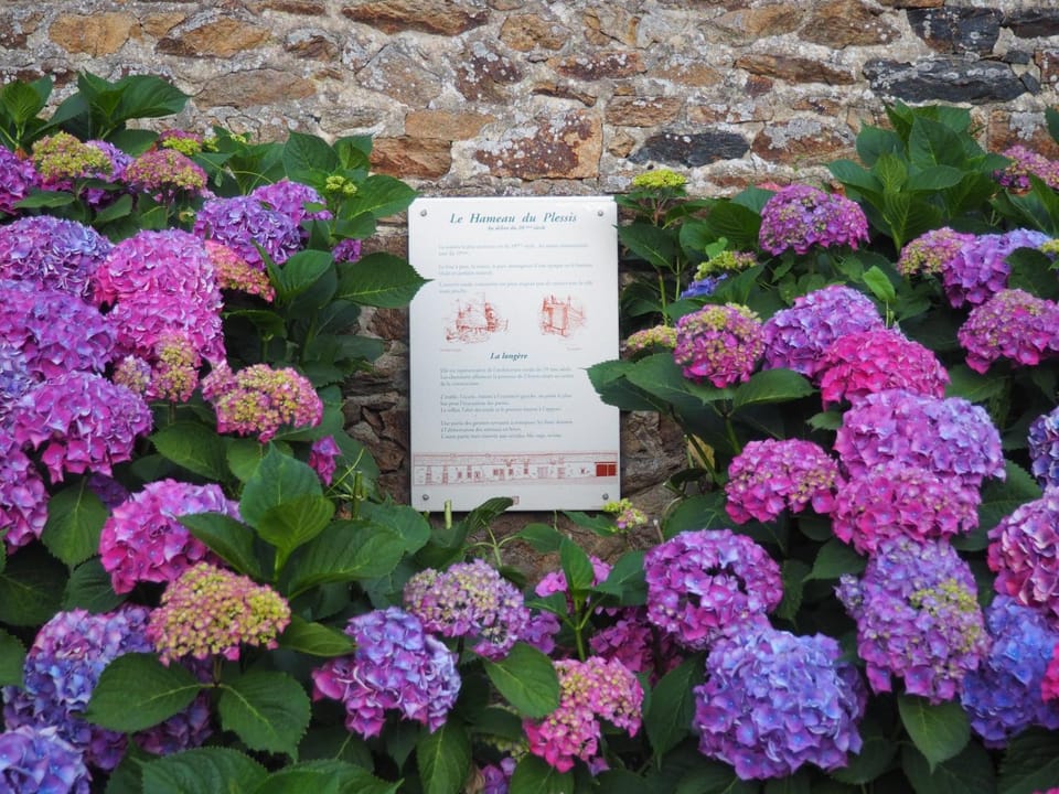 Property logo or sign