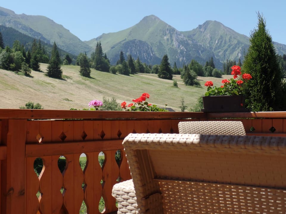 Mountain view
