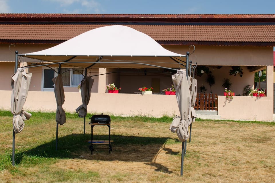 Pensiunea Aly Bed and Breakfast in Romania
