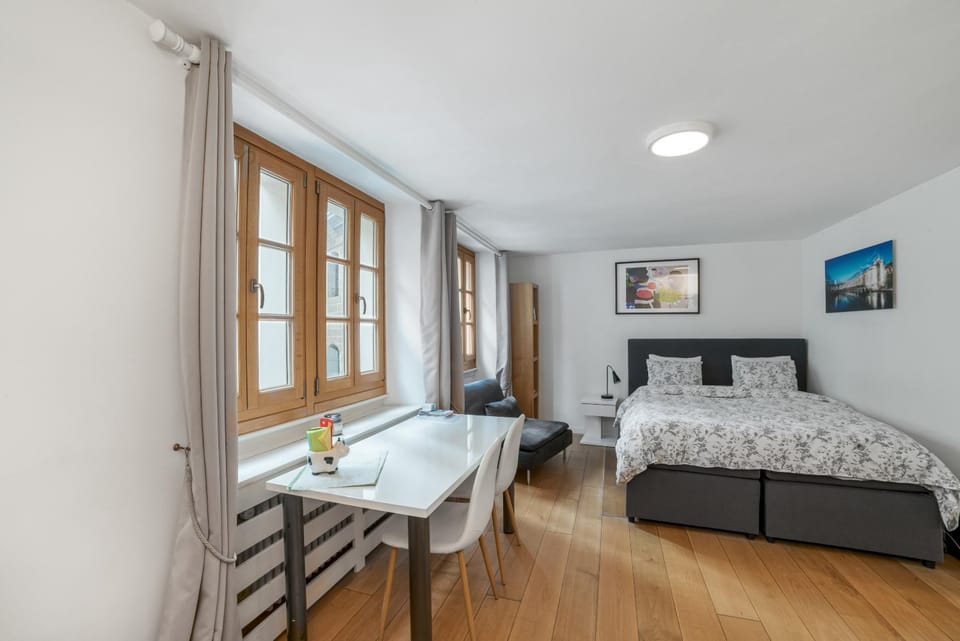 Boël 3 studio Apartment in Geneva