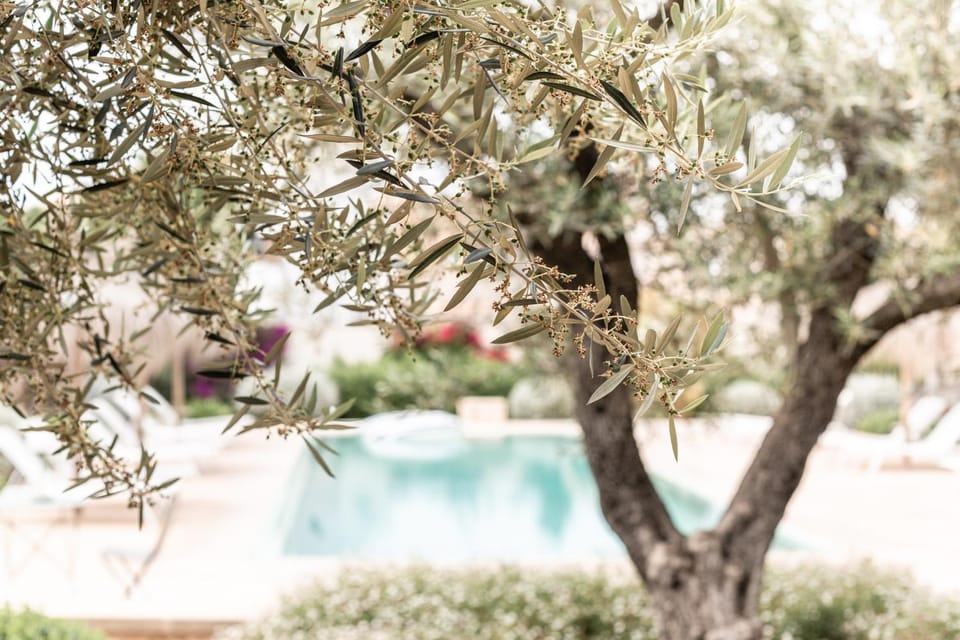 Garden view, Swimming pool