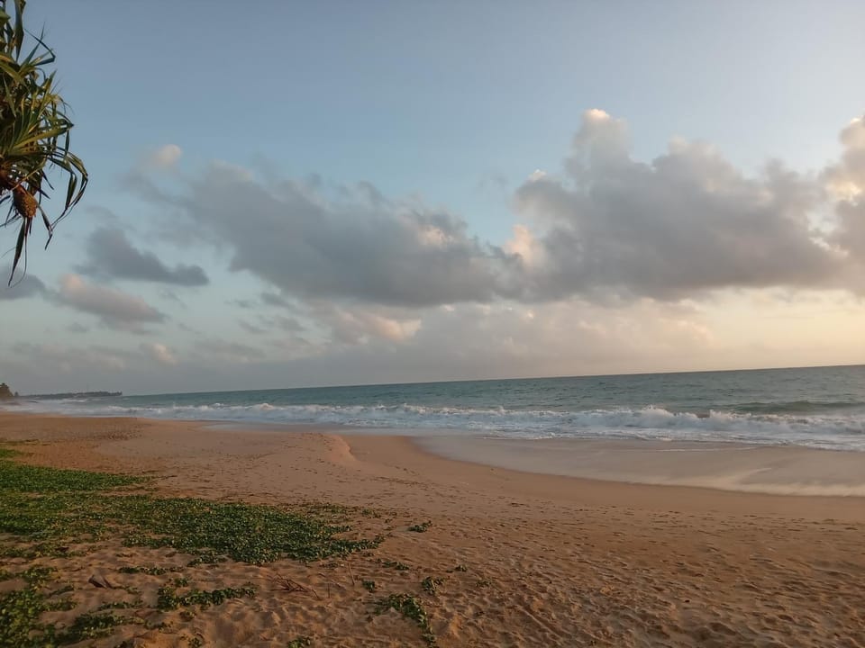 Natural landscape, Beach