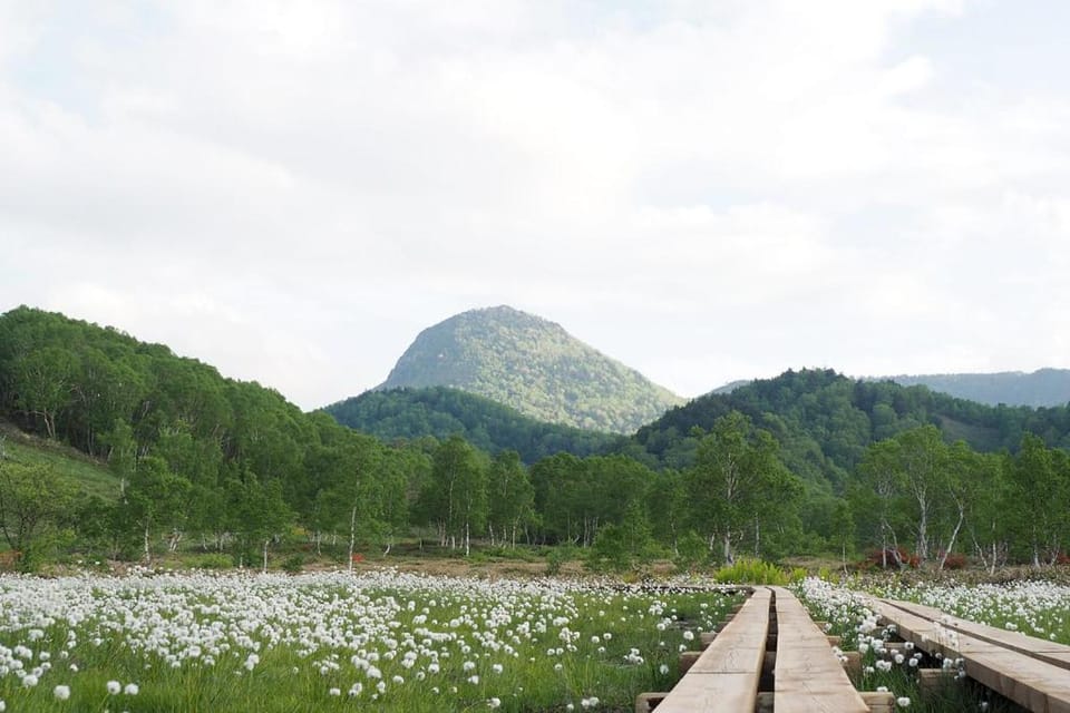 Aspen Shiga Ryokan in Shimotakai District