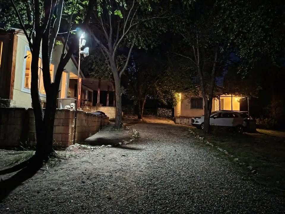 Patio, Night, Garden, Garden view