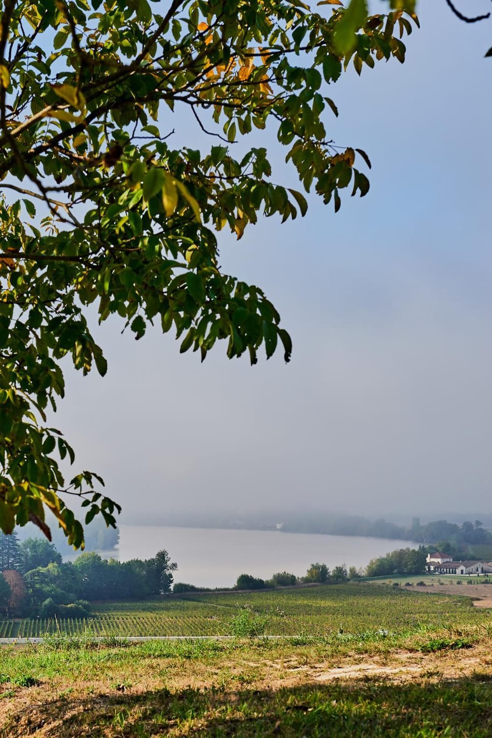 Natural landscape