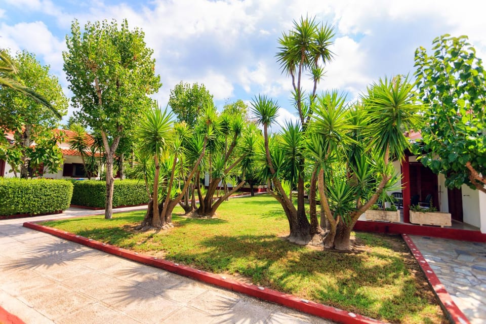 Garden, Garden view