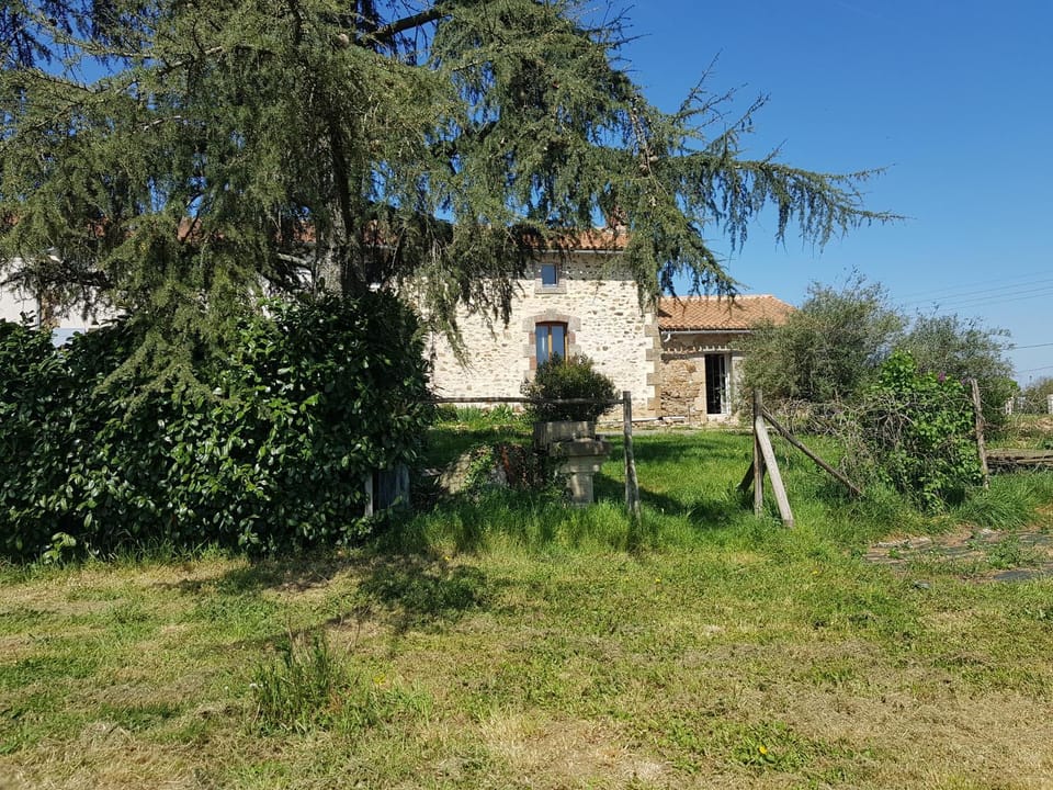 Property building, Garden