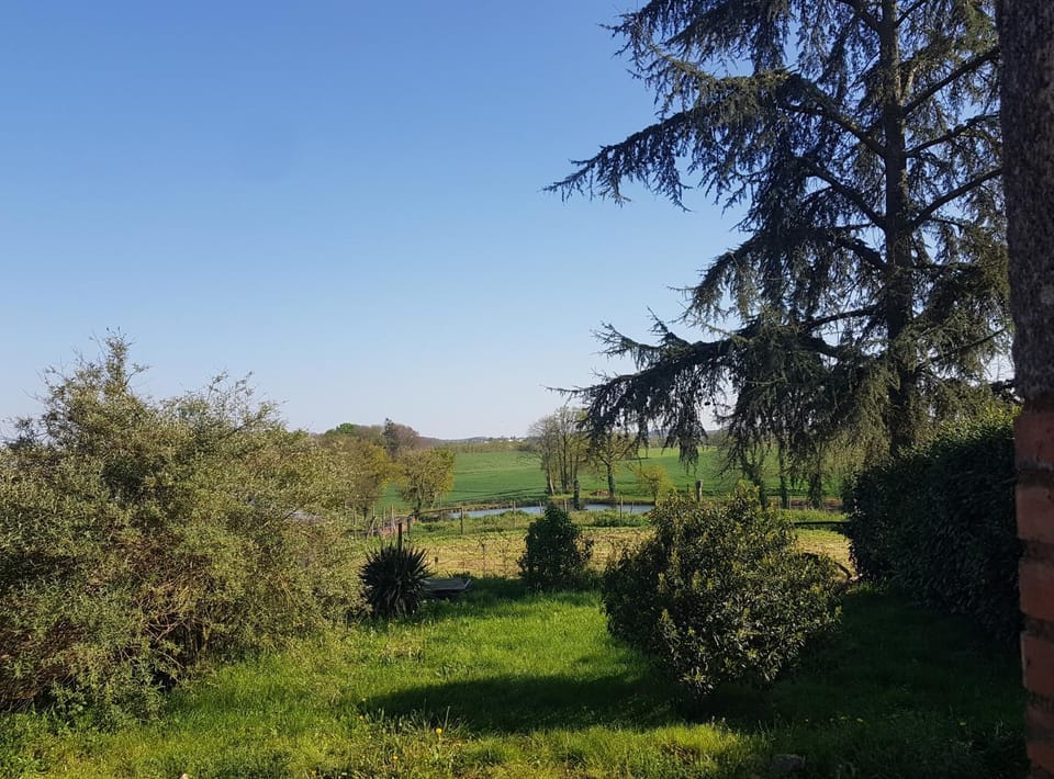 Natural landscape, Garden, Hiking, Lake view