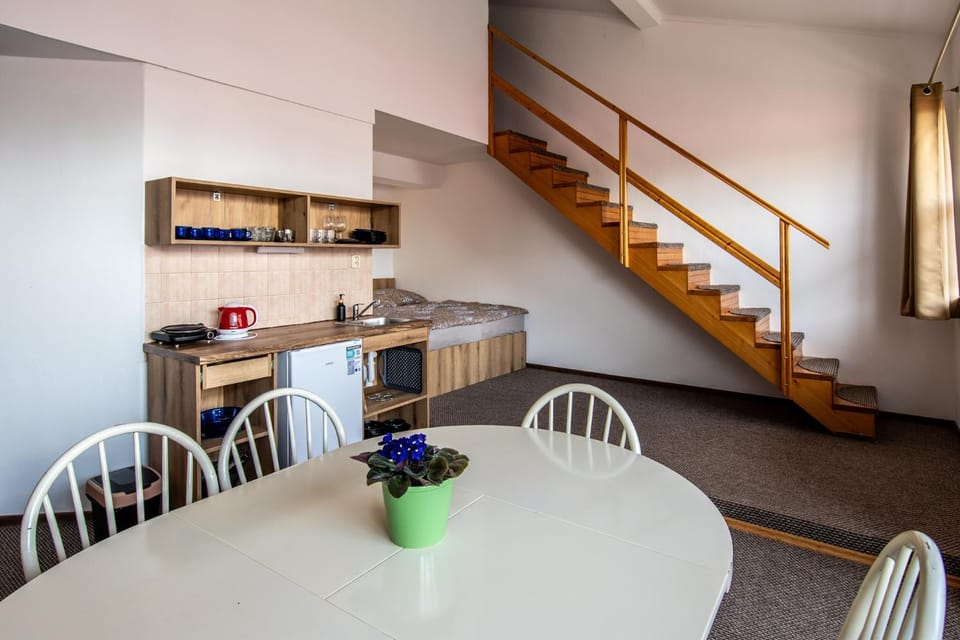 Kitchen or kitchenette, Dining area, stove