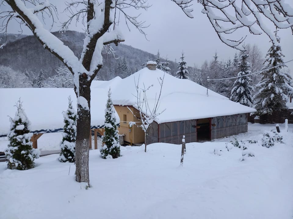 Casa Family Time House in Romania