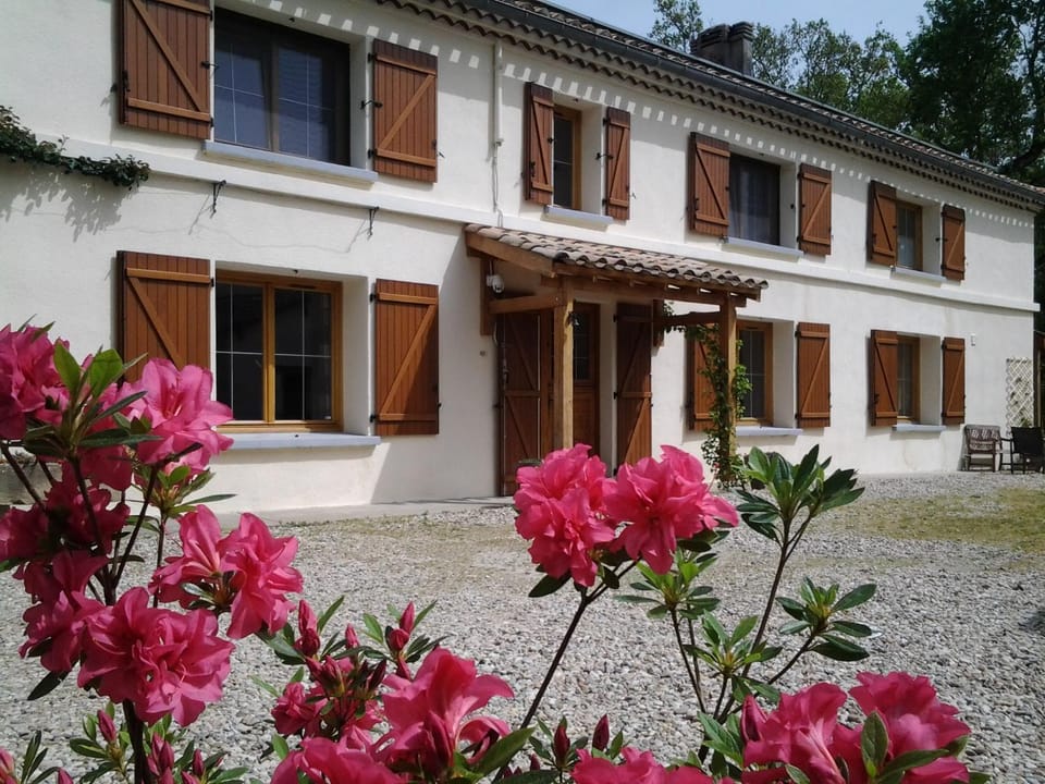 Property building, Facade/entrance, Garden