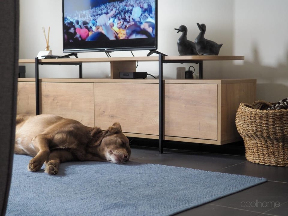 TV and multimedia, Living room, Seating area, Pets