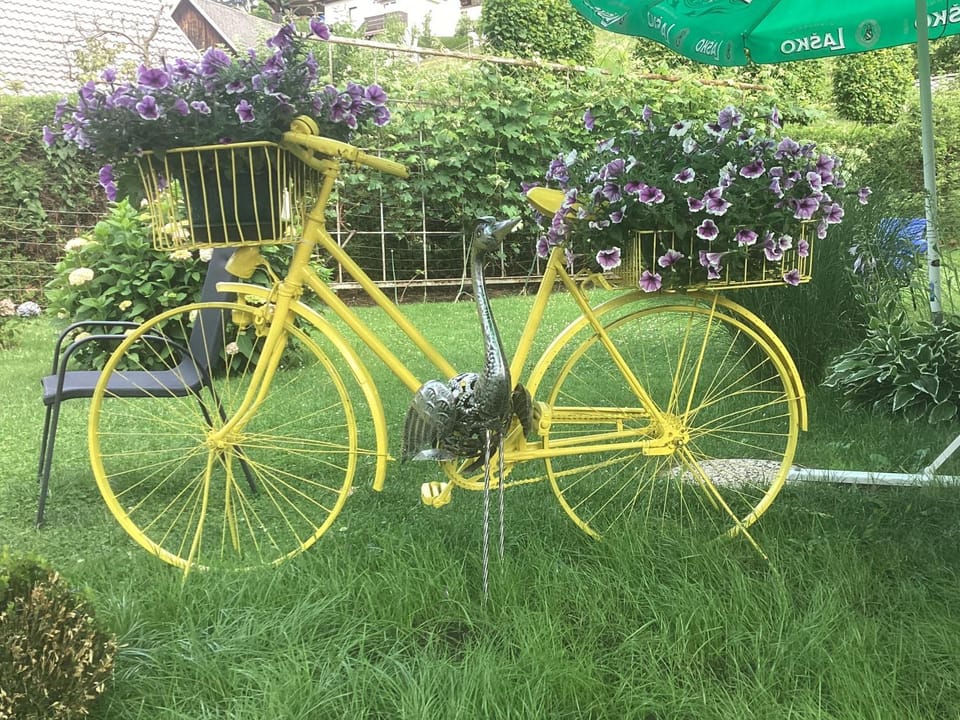 Natural landscape, Garden, Garden view