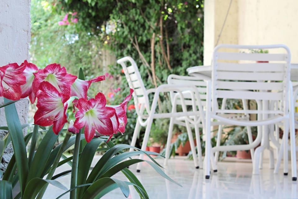 Patio, Garden, Balcony/Terrace, Breakfast