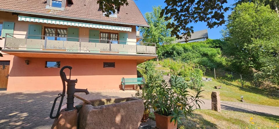 Garden view